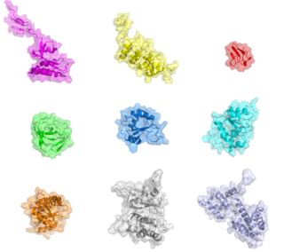 SHREC’18 Track: Protein Shape Retrieval