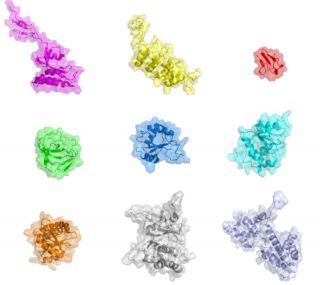 Examples of Protein Shapes used in the SHREC2018 dataset